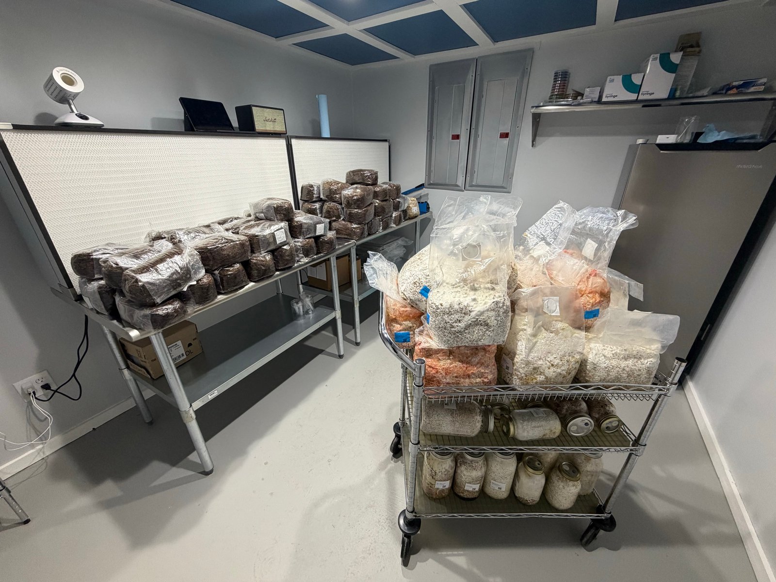Inoculation room. Stainless workbench stacked with substrate blocks and grain-spawn carts.