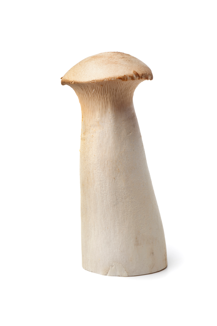 King OysterOne Pound One Time Purchase