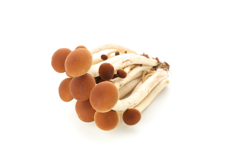 PioppinoOne Pound One Time Purchase