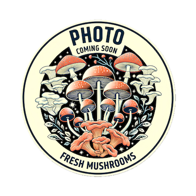 BlewitOn-Time Purchase One Pound